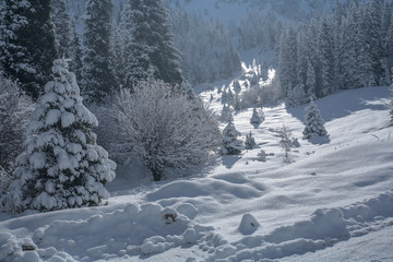 Allphotokz Tuyuk-Su 20060410 8640 5D