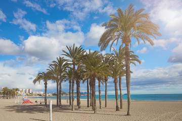 Palm trees on the beach against the background of the sea and blue sky with beautiful clouds in the sun. Villajoyosa, Spain