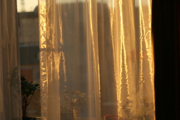 the sun shines through the window and tulle