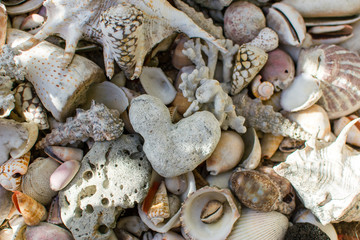 Sea shells on the beach and a heart shaped stone 