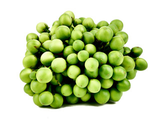 Solanum torvum,turkey berry,Pea Eggplant isolated on a white background,element of thai food concept