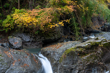 Obraz premium 大柳川渓谷 紅葉