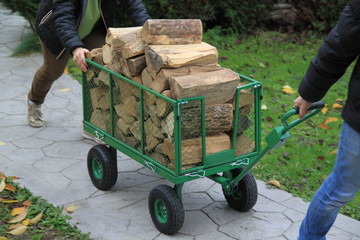 Charriot de bûches