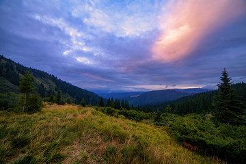 Beautiful sunset in mountains panorama, evening with colorful clouds and fir trees forrest scene. Autumn background. Trekking and hiking summer travel nature landscape background.