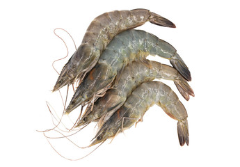 Fresh shrimp isolated on white background. with clipping path.