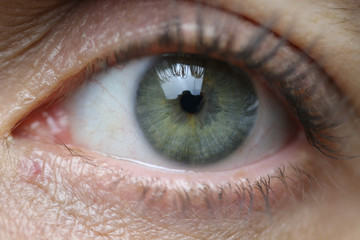 Ojo verde
