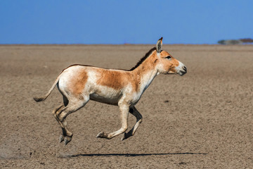 Walking on air