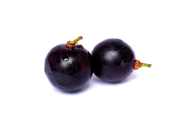 Close up of fresh black seedless grapes