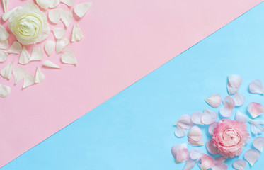 Flowers on a light blue and light pink background