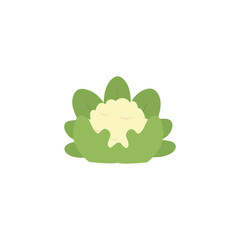 vegetable cauliflower flat style icon
