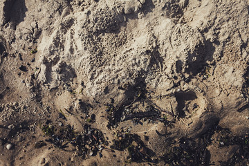 Sand texture background, natural sand at the beach