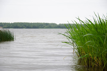view of the Volga river from the shore