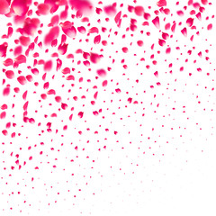 Fototapeta na wymiar Pink falling petals falling. Rose flower pastel background.