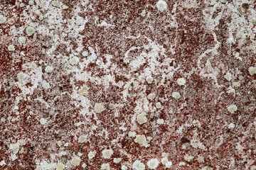Old weathered wall with lichens