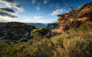 Naklejka premium View of Blue mountains National park in NSW, Australia.