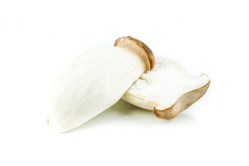 King oyster mushroom, (origin) Pleurotus eryngii mushroom isolated on white background