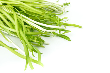 white Garlic chives, Chives flower or Chinese Chive isolated on white background.