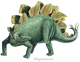 STEGOSAURUS. A vegetarian, armour-plated dinosaur. About 20ft (6m) long. The thick, spiked tail was used for defence. Late Jurassic, about 140 million years ago. *No. 2 in a series of eight.*