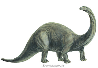 BRONTOSAURUS. One of the heaviest land animals ever known. Background: Rhamphorhynchus. Jurassic, about 170 - 135 million years ago. *No. 3 in a series of eight.*
