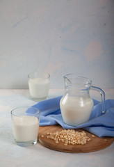 Vegetarian pine nut milk in glass cups and jug, on white background. Vertikal
