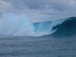 exploring tropical island paradise