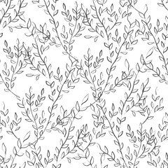 Pattern Flower Plant Botanical Frame texture Background Watercolor 