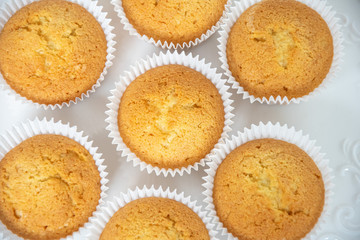 vanilla cupcakes on white plate