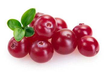 Fresh cranberry isolated on white background