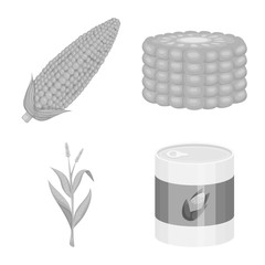 Isolated object of agriculture and nutrition symbol. Set of agriculture and vegetable stock symbol for web.