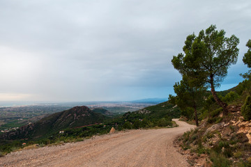 Sunrise in the desert of the palms of Benicassim