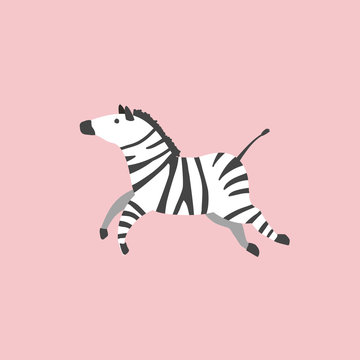 Zebra. Vector flat illustration of a zebra. Cartoon style. Scandinavian design