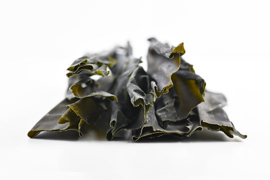 Dried sheets of kombu, an edible kelp algae, also called  dasima or haidai, that is widely eaten in East Asia and especially Japan, isolated on white background