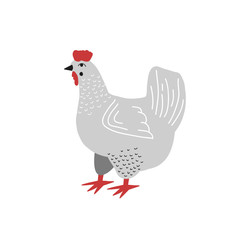 A hen. Vector drawing of a gray chicken in flat style. Cartoon drawing. Farm animals