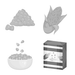 Vector illustration of agriculture and nutrition icon. Collection of agriculture and vegetable vector icon for stock.