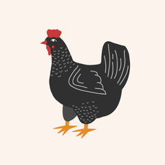 A hen. Vector drawing of a black chicken in a flat style. Cartoon drawing. Farm animals