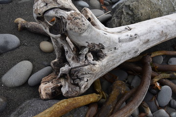 Kelp and Stones under Driftwood
