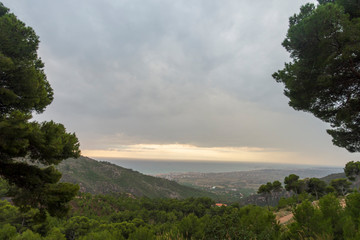 Sunrise in the desert of the palms of Benicassim