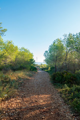 Trail through the mountains of Irta de Alcocebre