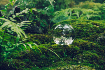 Glass ball : Natural power and environment saving concept.