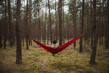 Obraz na płótnie Canvas Woman relaxing in the hammock hanging among the pine trees in the background.