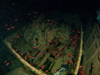 Thistlegorm ship sunk in World War II in the Red Sea
