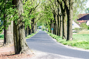 summer road