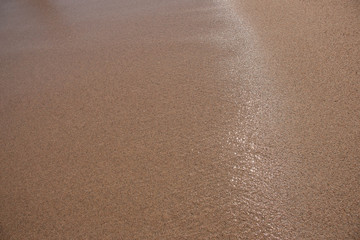 sandy beach at sunrise