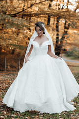 Fototapeta na wymiar Beautiful sensual young bride in long white wedding dress and veil the bride outdoor. Charming autumn bride. Beautiful young woman with makeup and hairstyle 