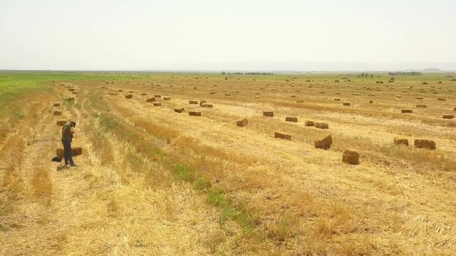 Fly over a photographer man with camera and crop golden wheat or rye field with stook hay straw bales. Harvest agriculture farm rural aerial top view. flour or bread production concept.