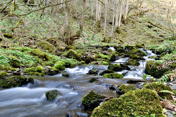 Traumschleife Hunolsteiner Klammtour