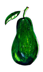 Avocado fruit with leaf isolated on a white background. Realistic hand drawn avocado. You can use the illustration for printing, printing on fabric, for labels and packaging decor. Hand drawn markers