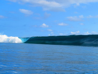 exploring tropical island paradise