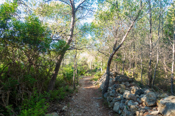 Fototapeta premium Trail through the mountains of Irta de Alcocebre