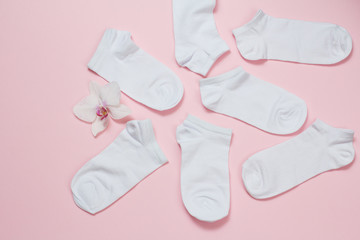 Women socks and orchid bud on pink background.